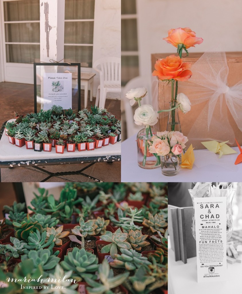Succulents Wedding Details