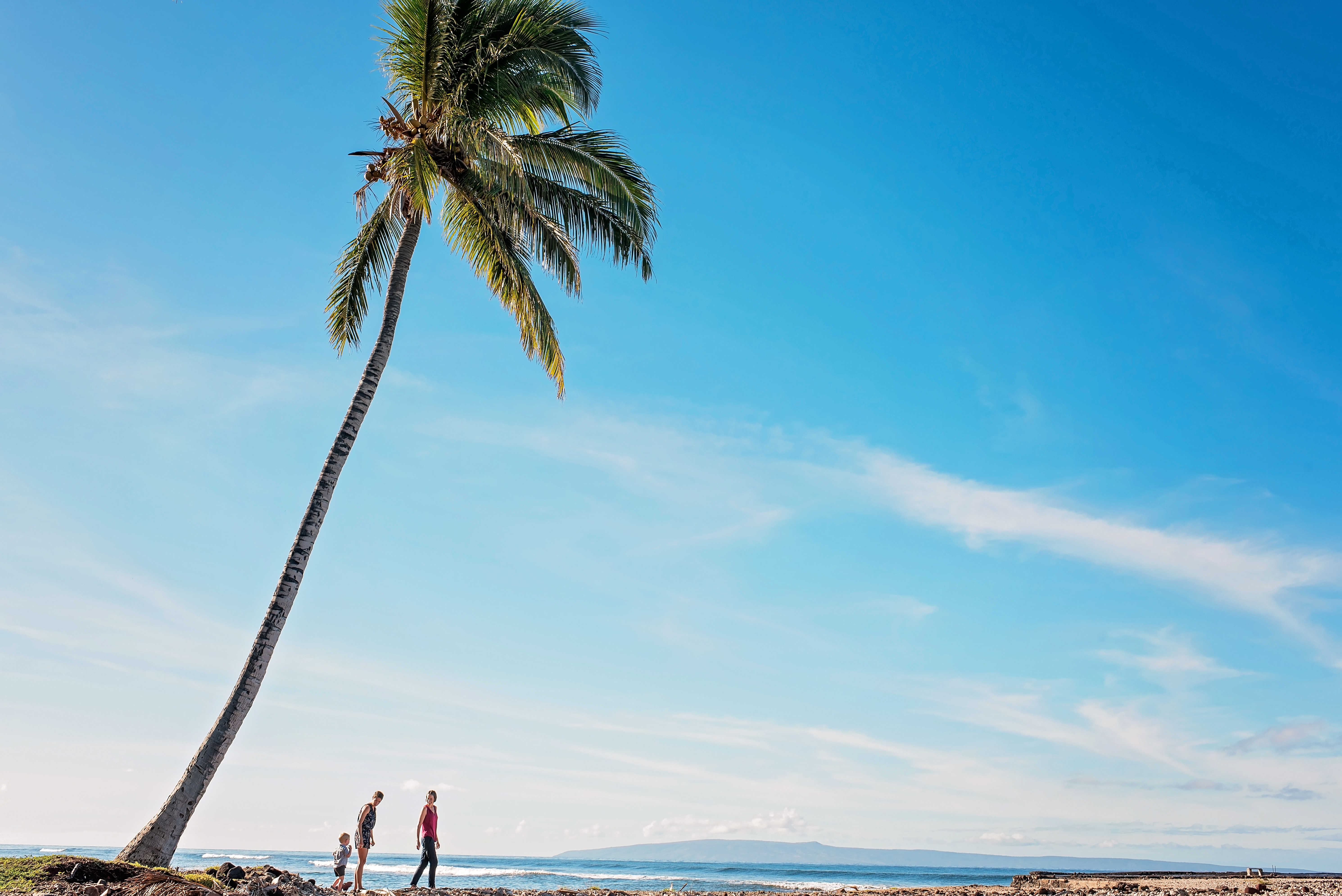 blue maui sky and palm trees adventure photos