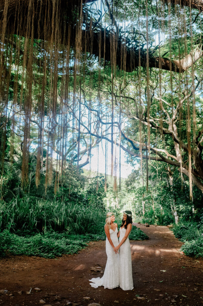 A stunning moment of reflection beneath towering trees in Honolua Forest, Maui.